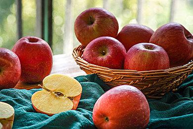 《棕色尘埃》Steam版8月31日开服 支持中文